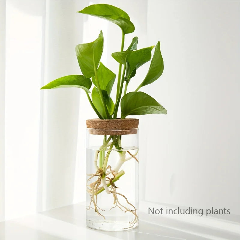 1Pc, Hydroponics Plants Desktop Glass Planter Vase for Home Decoration, Plant Propagation Station Bud Vase, Desktop Hydroponics