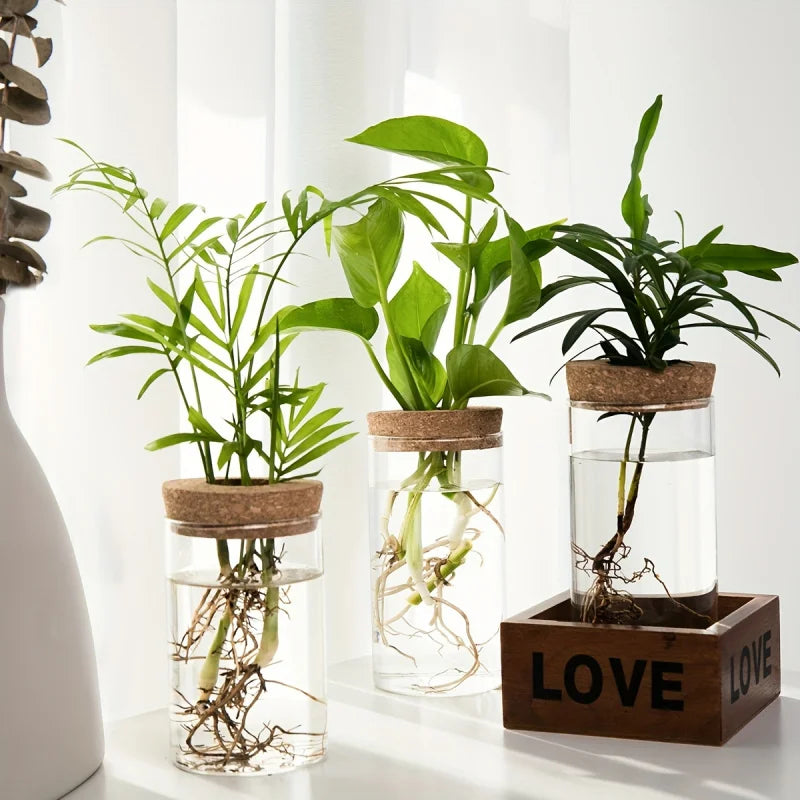 1Pc, Hydroponics Plants Desktop Glass Planter Vase for Home Decoration, Plant Propagation Station Bud Vase, Desktop Hydroponics