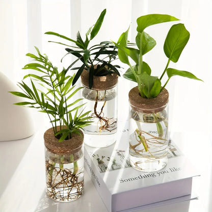 1Pc, Hydroponics Plants Desktop Glass Planter Vase for Home Decoration, Plant Propagation Station Bud Vase, Desktop Hydroponics