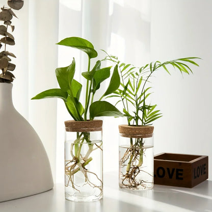 1Pc, Hydroponics Plants Desktop Glass Planter Vase for Home Decoration, Plant Propagation Station Bud Vase, Desktop Hydroponics