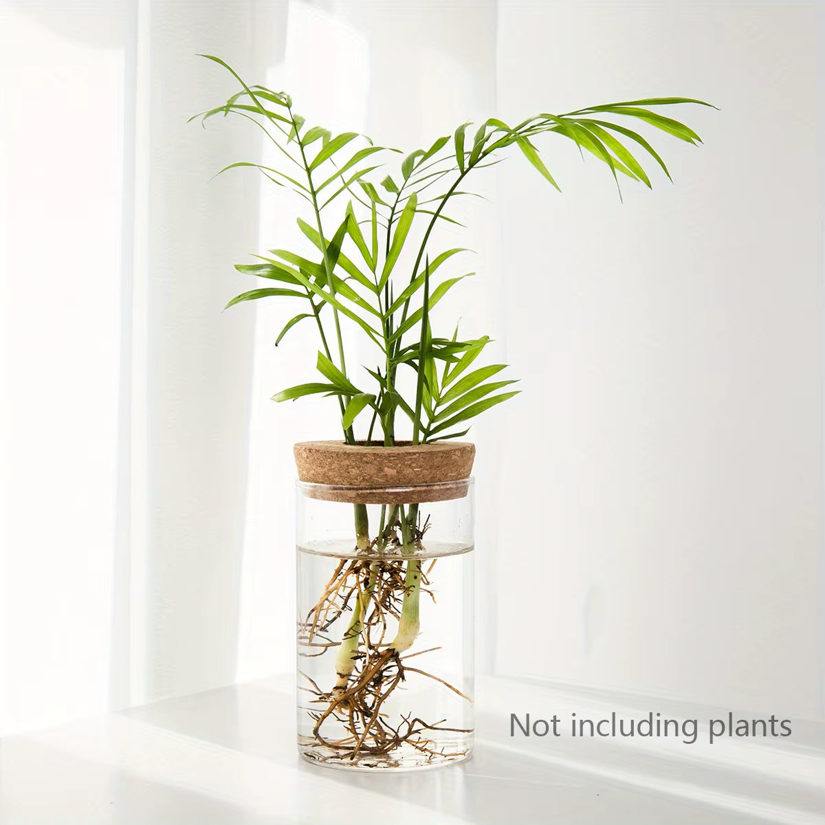 1Pc, Hydroponics Plants Desktop Glass Planter Vase for Home Decoration, Plant Propagation Station Bud Vase, Desktop Hydroponics