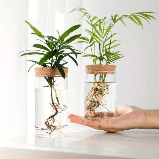 1Pc, Hydroponics Plants Desktop Glass Planter Vase for Home Decoration, Plant Propagation Station Bud Vase, Desktop Hydroponics