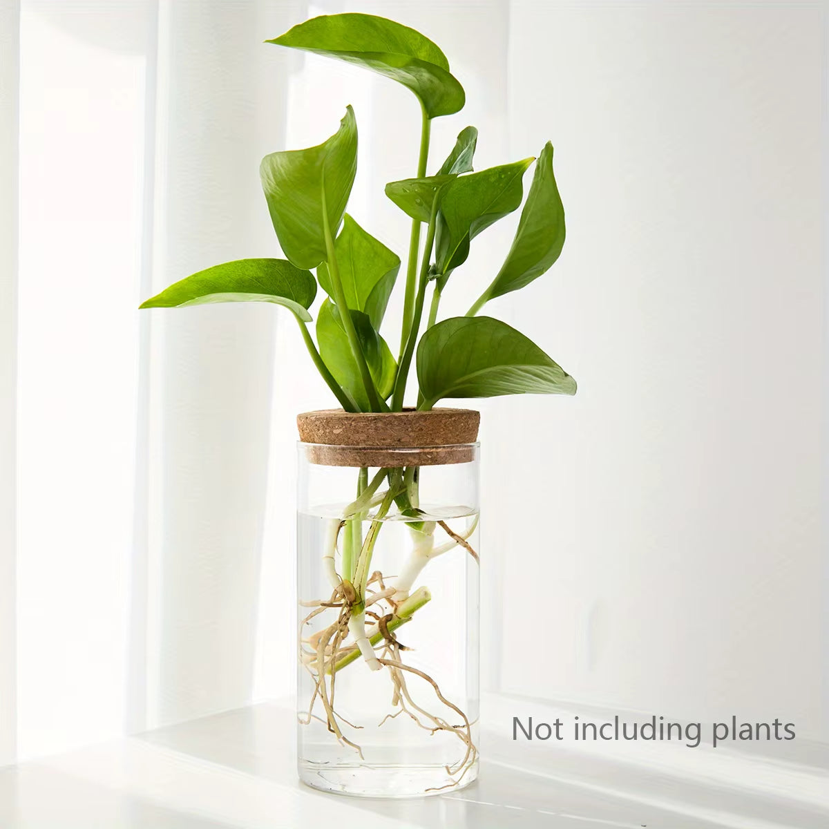 1Pc, Hydroponics Plants Desktop Glass Planter Vase for Home Decoration, Plant Propagation Station Bud Vase, Desktop Hydroponics